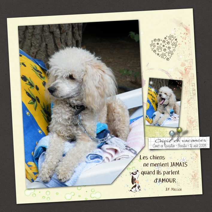 2008 Chipie Brasilia Bain de soleil.jpg