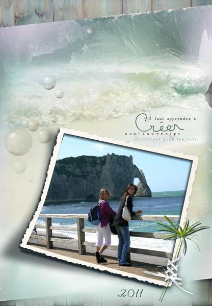 2011  pour mon album photo scrap