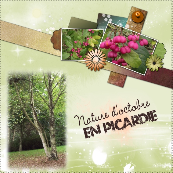 2012 Template Dady 25896532.jpg