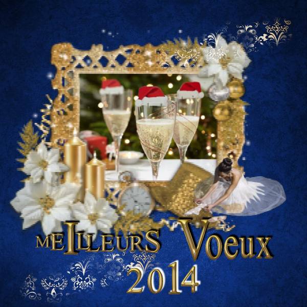 2014_VOEUX