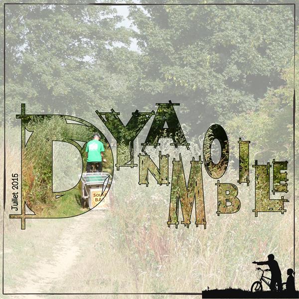 2015 Dy - ancien challenge