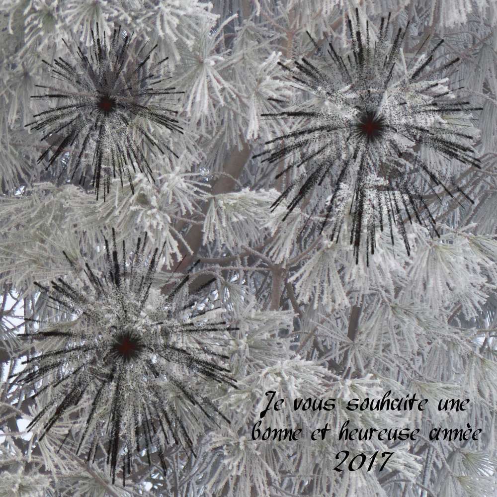 2017_bonne_ann__e__2_