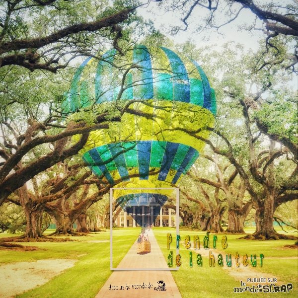 2019_10 Louisiane Oak Alley.jpg