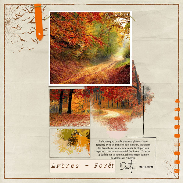 2021-10-20-Arbre.jpg