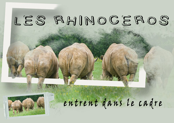 2021-11-11-Scrapenter