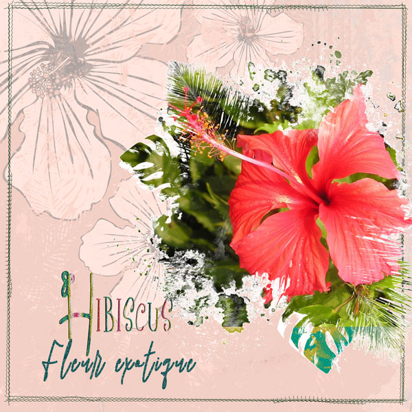 2022-06-02-Hibiscus.jpg