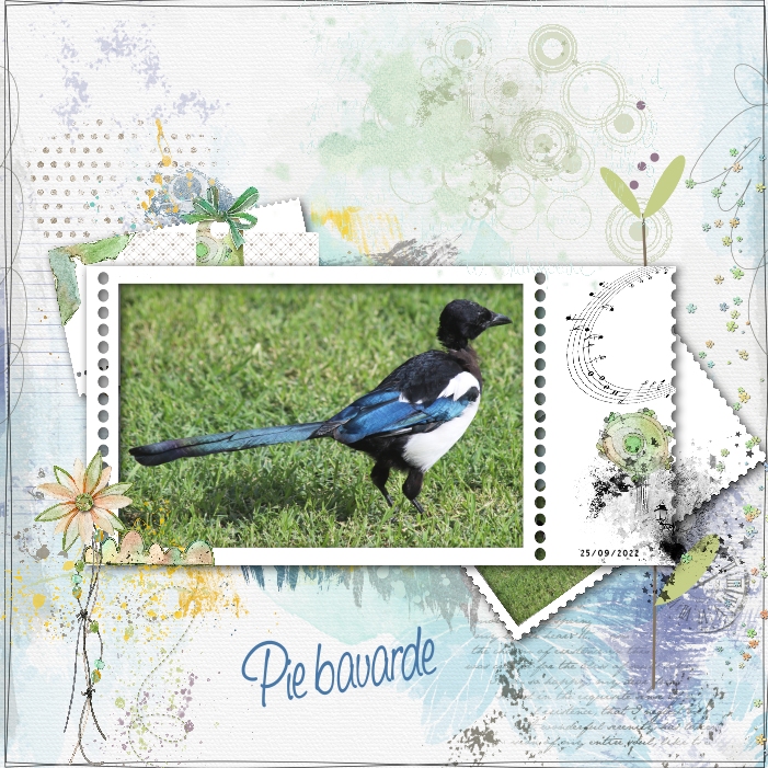 2022 Défi Scraptober Jour 15 Pie du Jardin.jpg