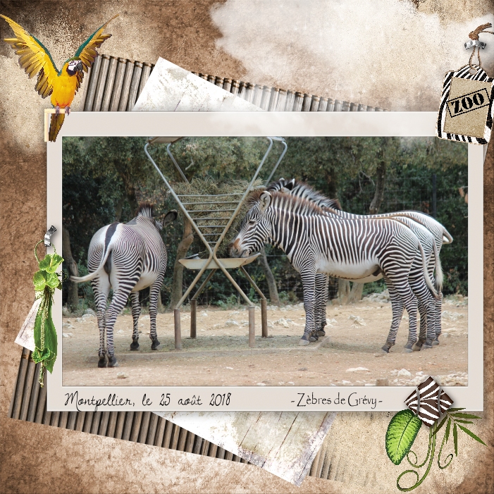 2022 Défi Scraptober Jour 25 Rayure.jpg