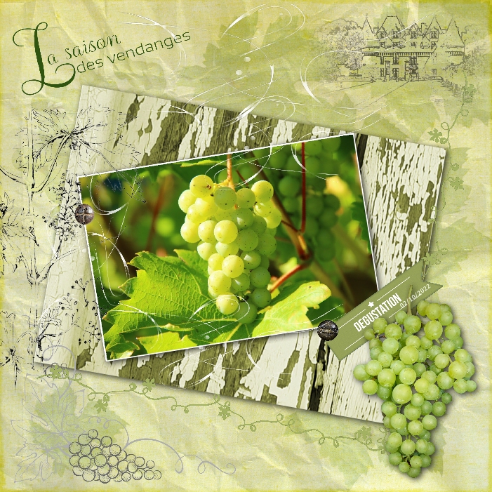 2022 Défi Vert Scraptober jour 2 octobre Raisin.jpg