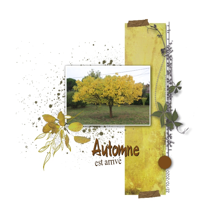 2022 Défisketch Automne Moyson 09 11 2022.jpg