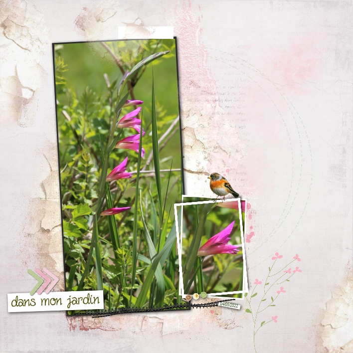 2022 Fleur sauvage du jardin .jpg