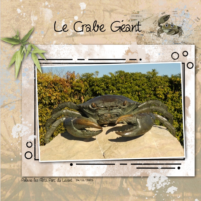 2023 Palavas les Flots Crabe.jpg
