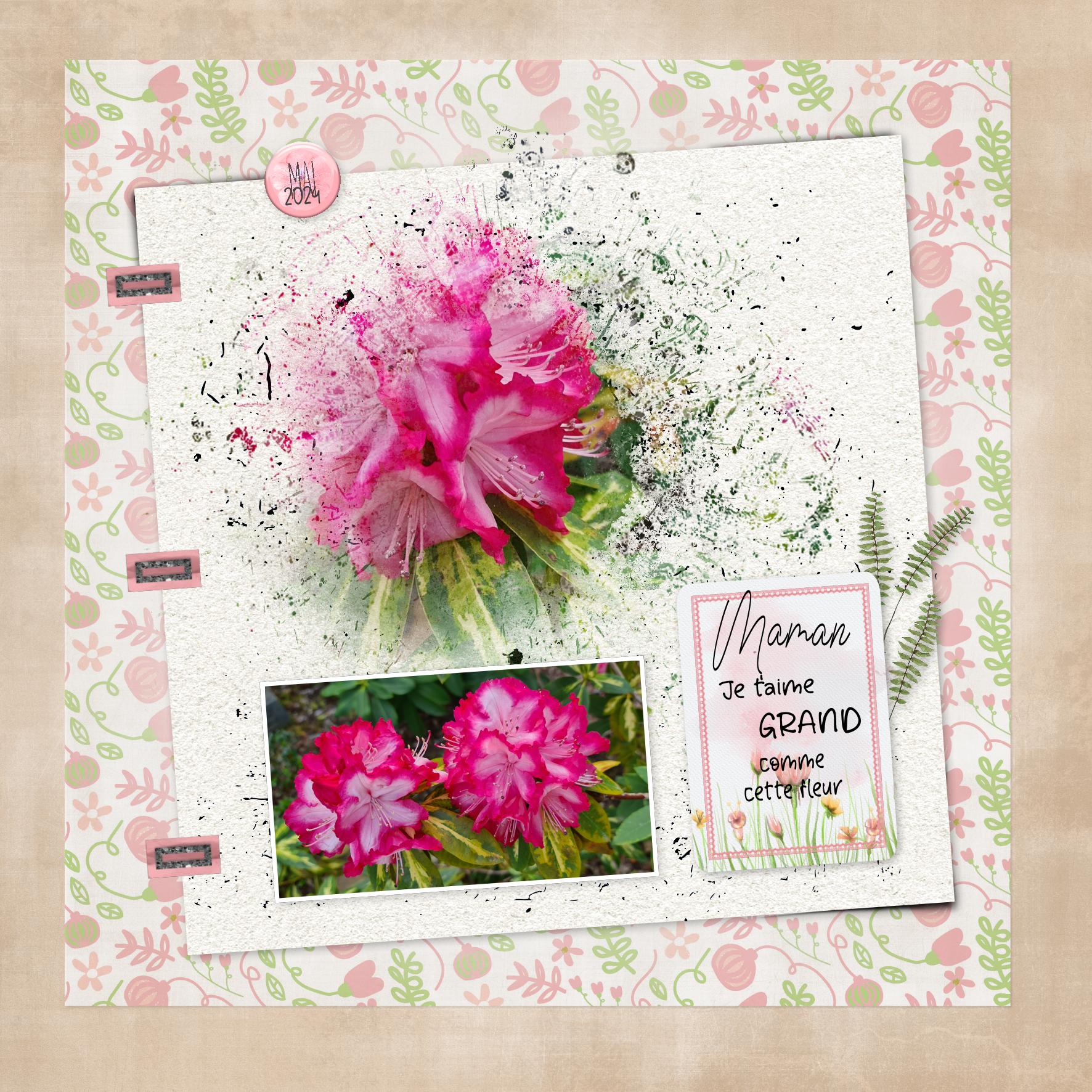 2024 fête des mères.jpg