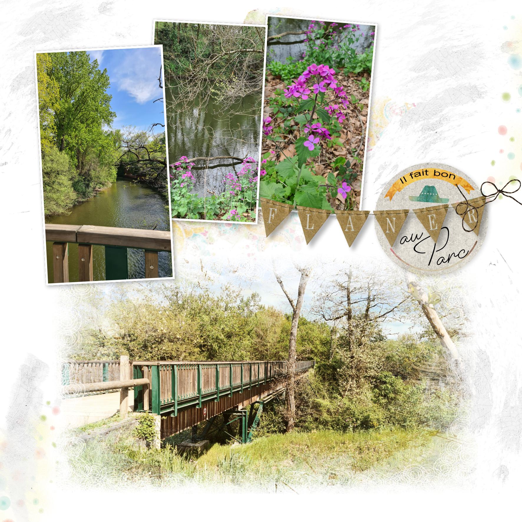 2024 flaner au parc.jpg