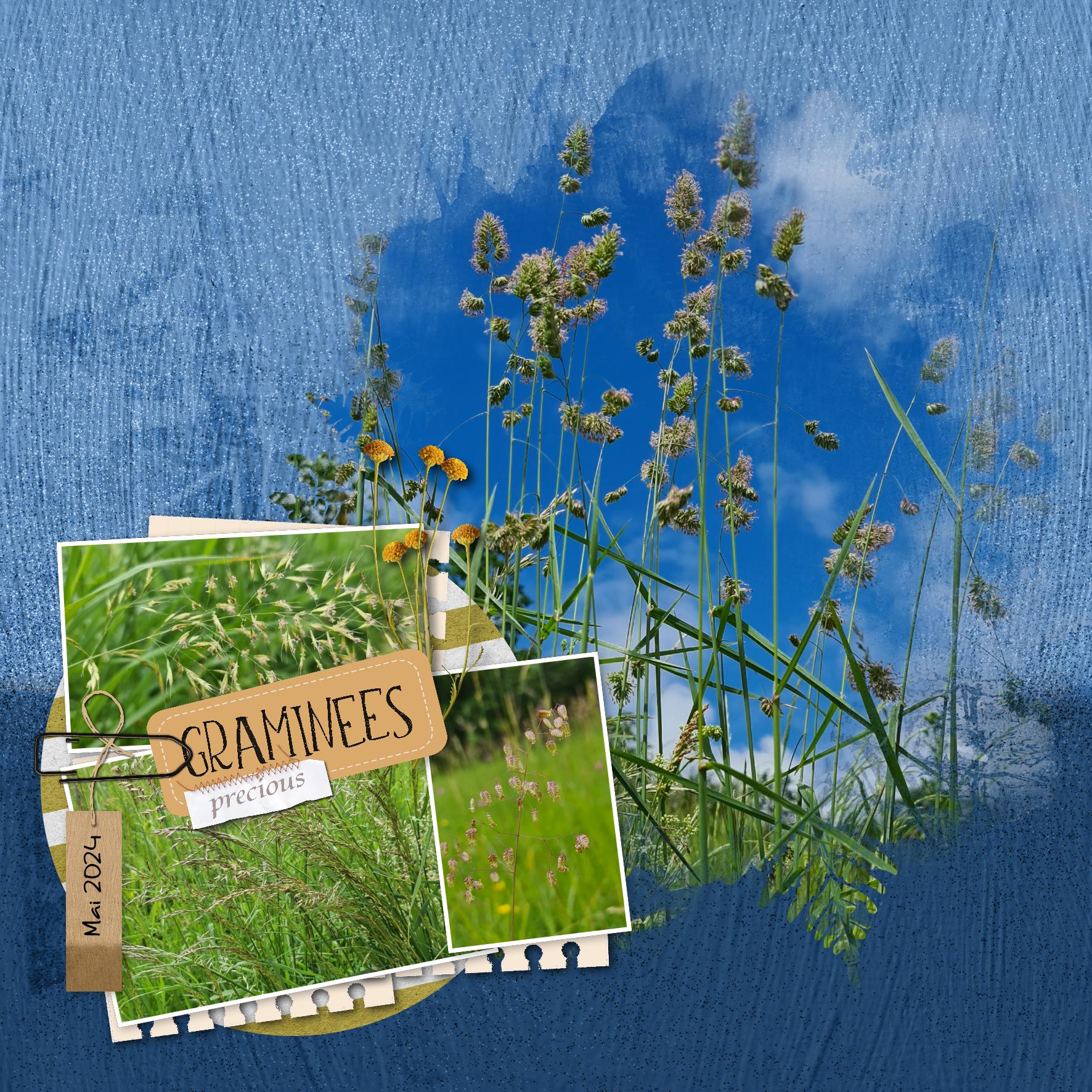 2024 graminees.jpg