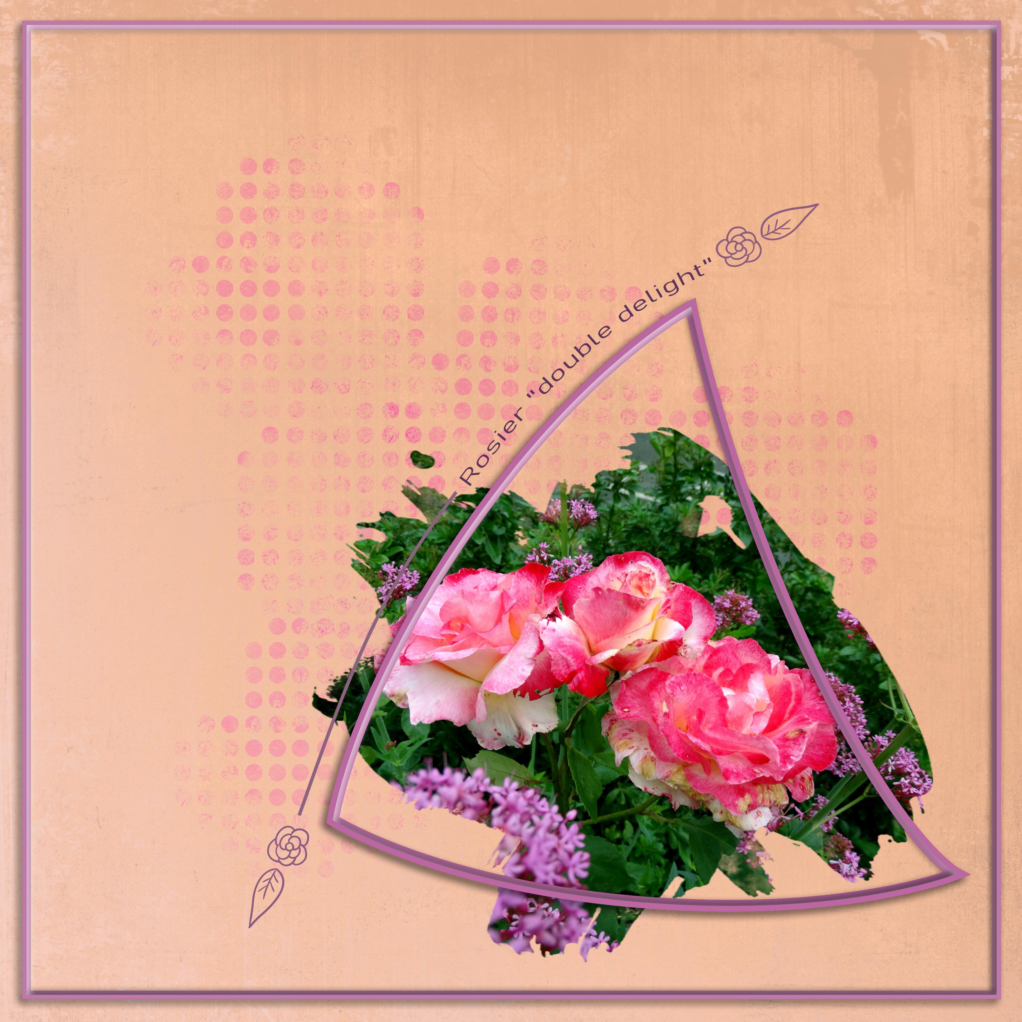 2025.03.défi relax mrm.jpg