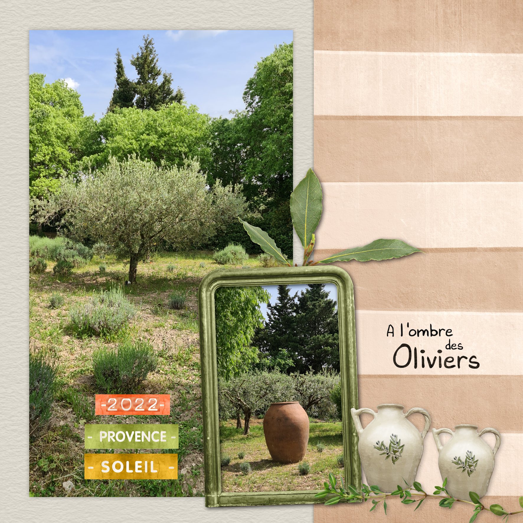 2026 a l ombre des oliviers.jpg