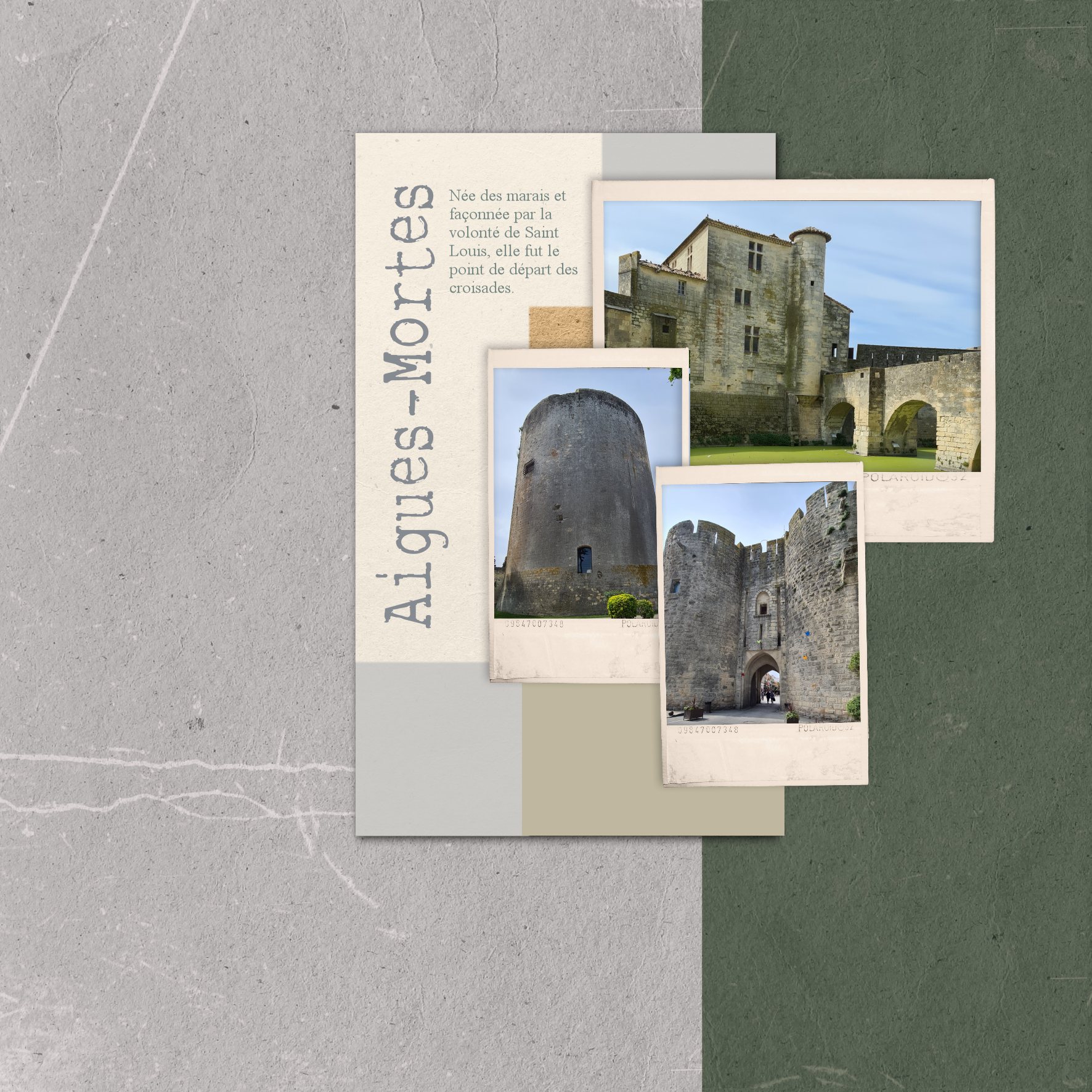 2026 aigues mortes.jpg