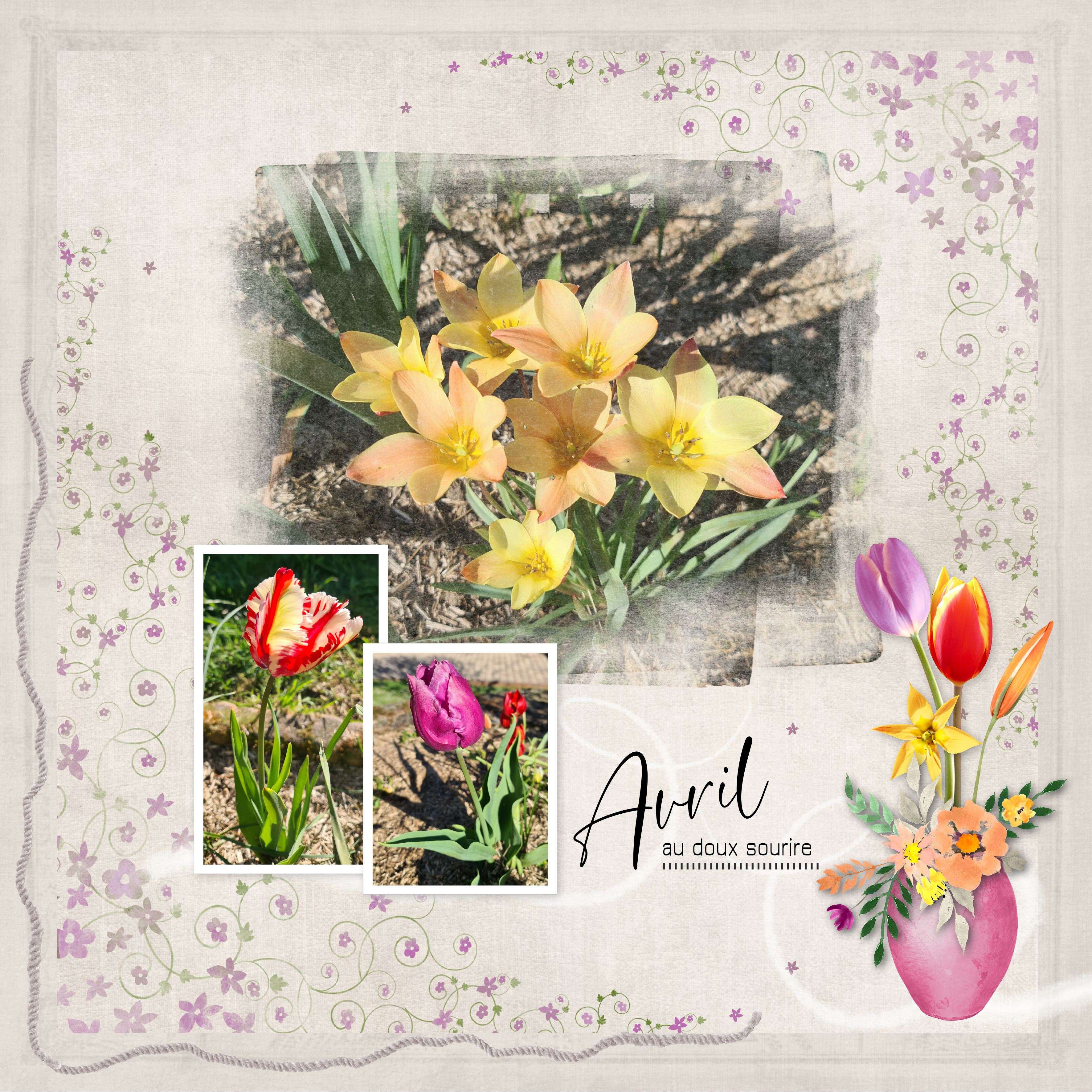 2026 avril au doux sourire.jpg