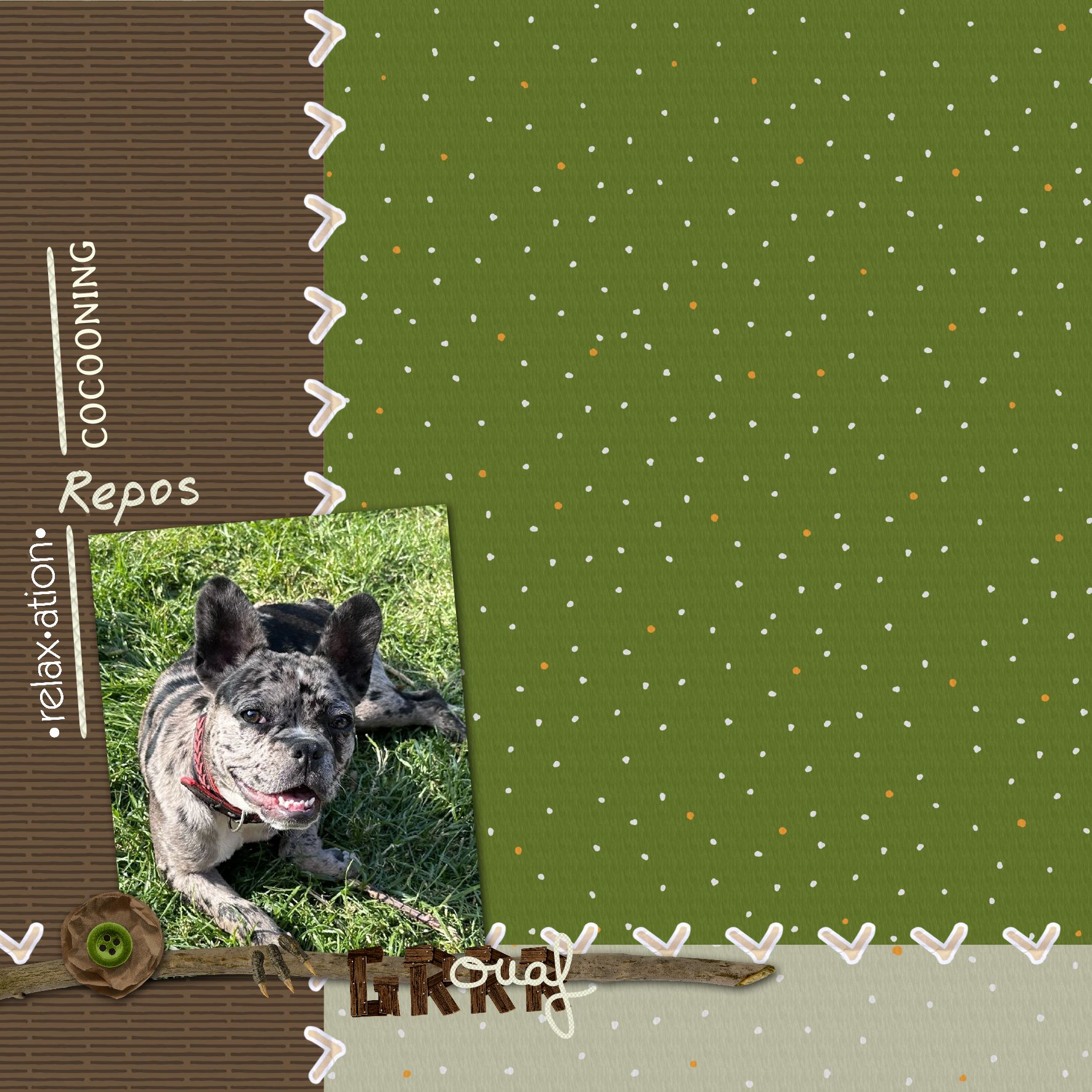 2026 defi SS chien.jpg