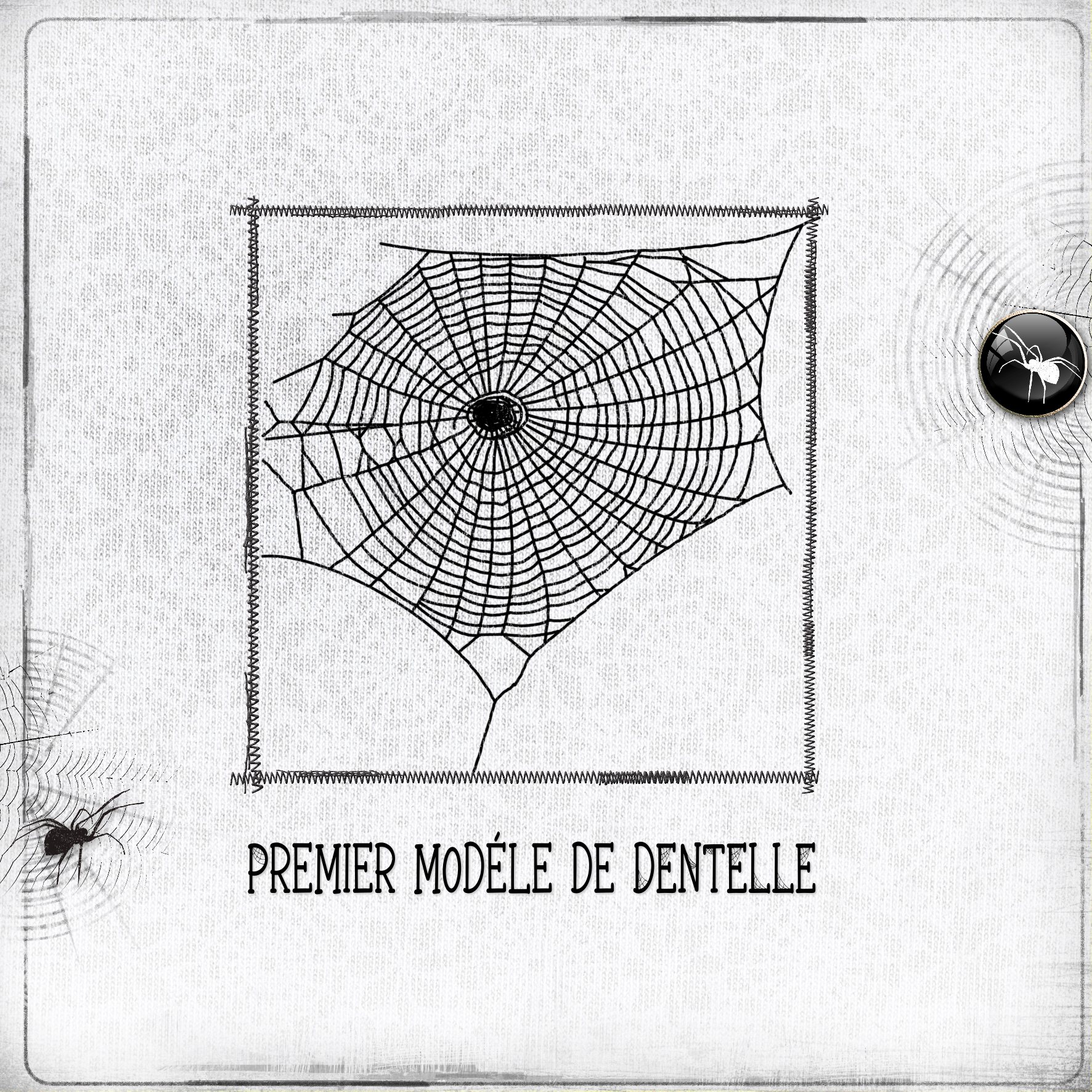 2026 dentelle.jpg