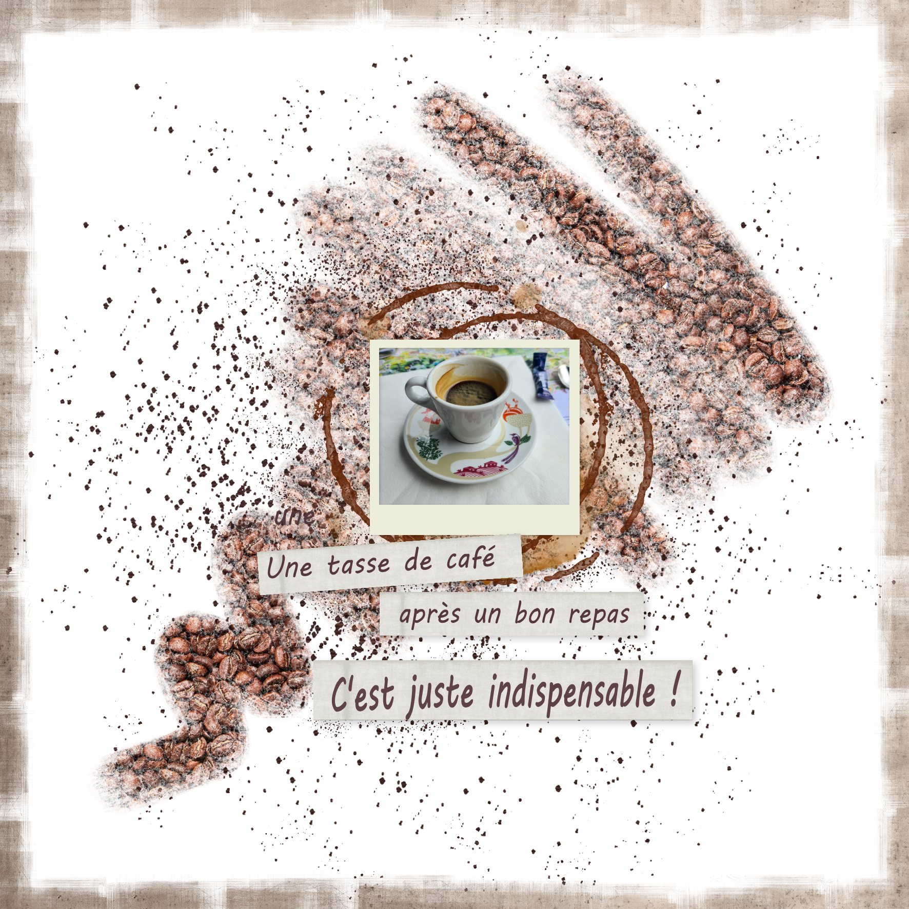 2026 tasse.jpg