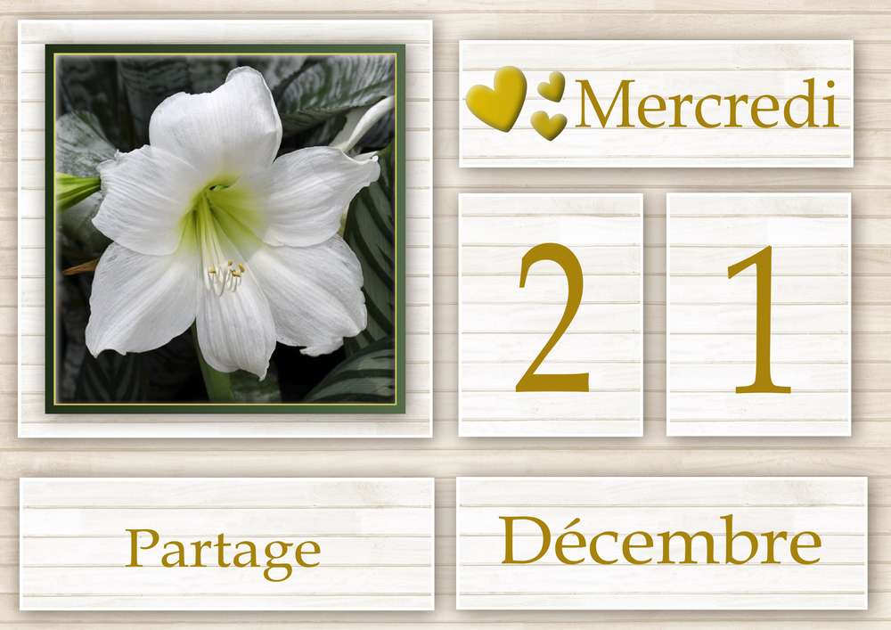 21-CALENDRIER DE L'AVENT - 21 DECEMBRE