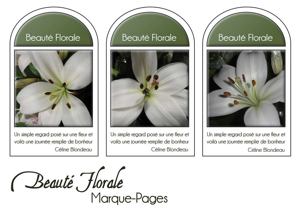 21-MARQUE-PAGES - BEAUTE FLORALE