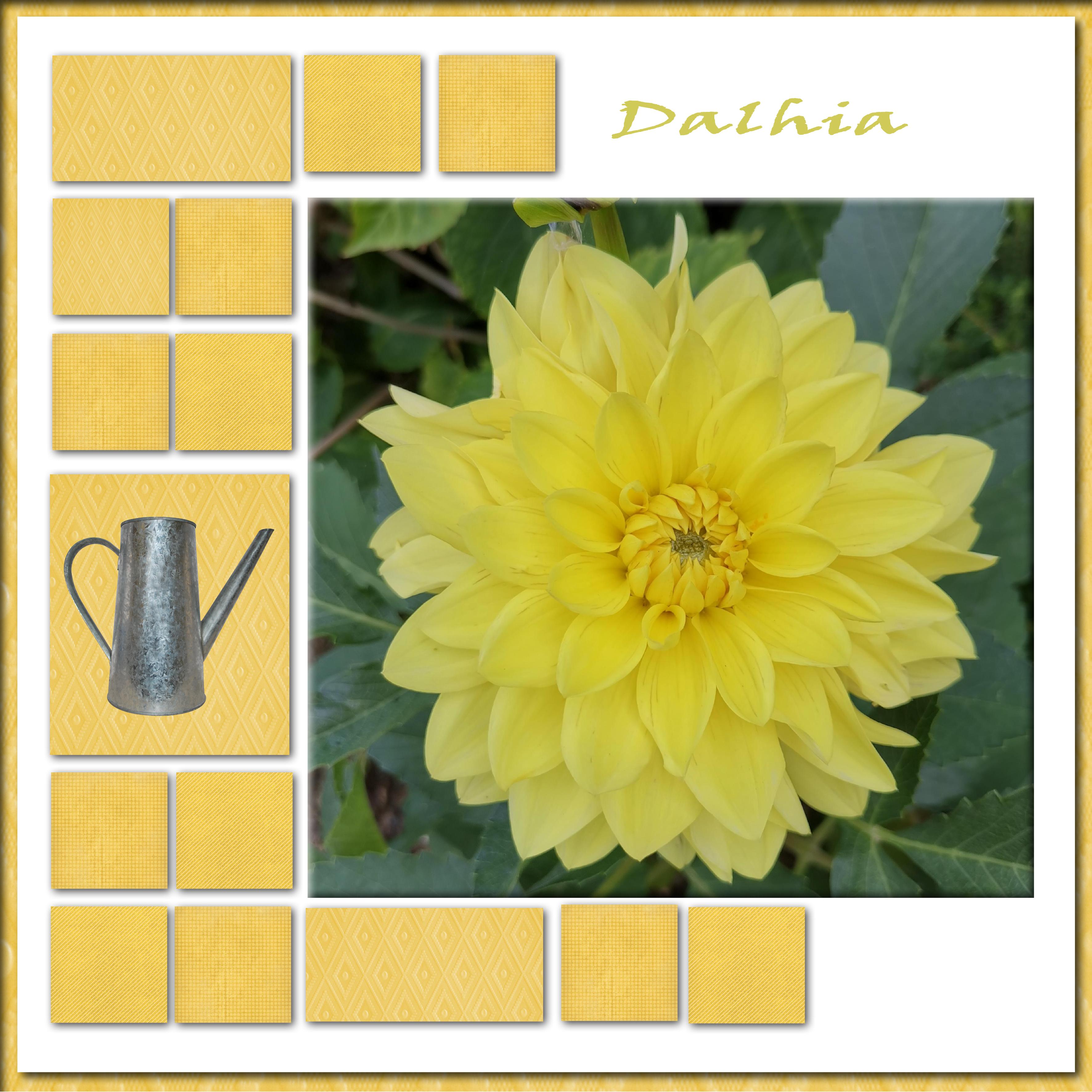 22 jaune (page 1).jpg