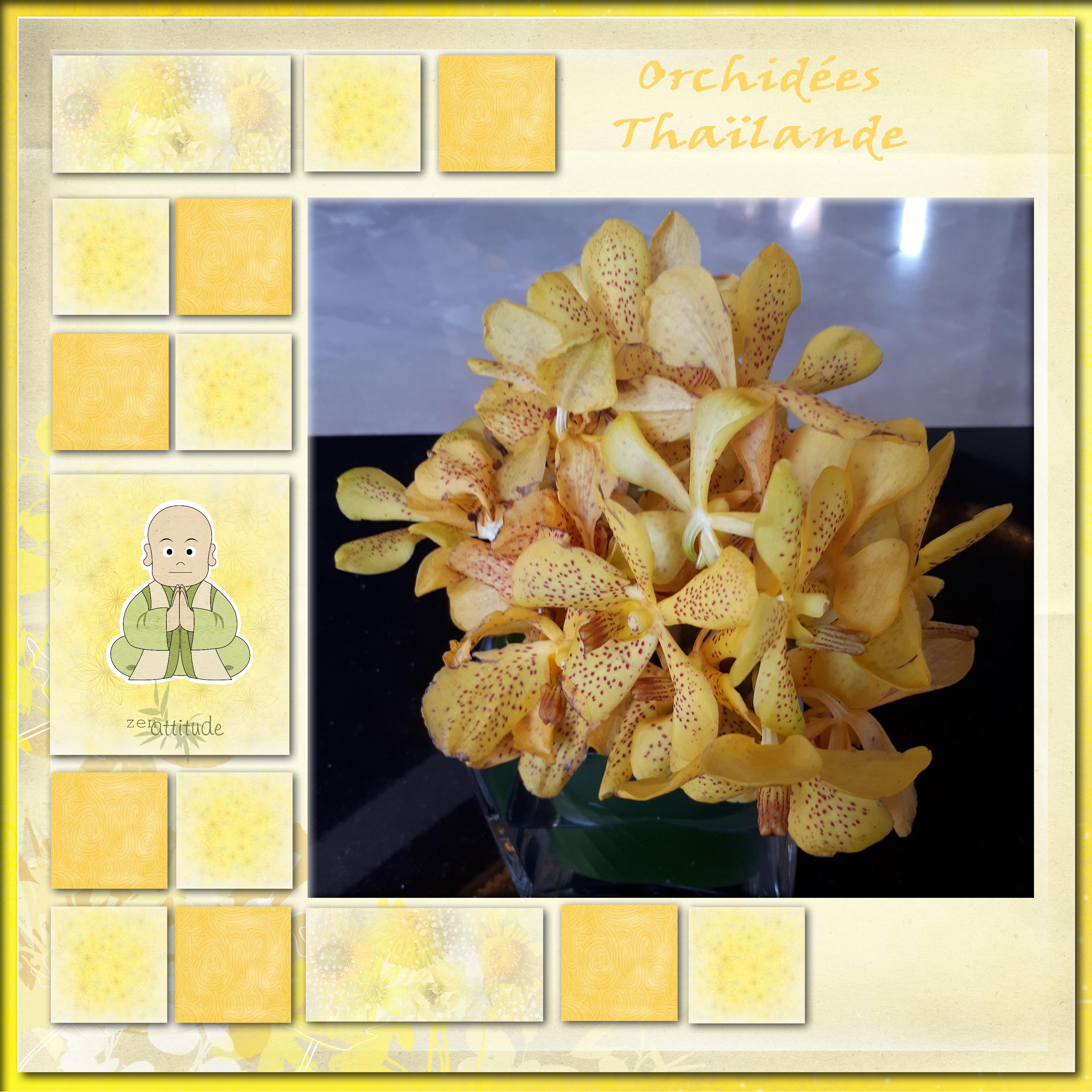 22 jaune (page 2).jpg