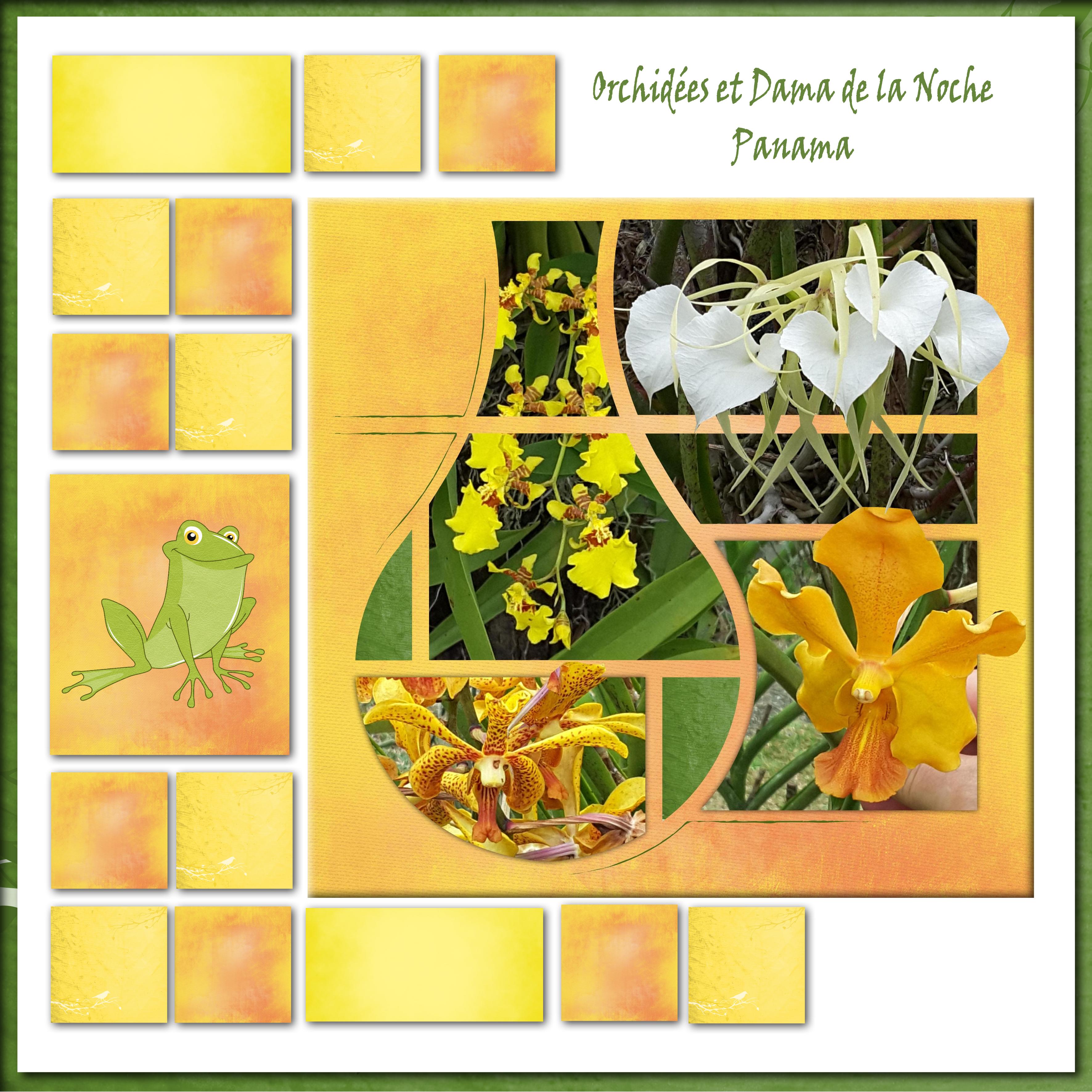 22 jaune (page 3).jpg