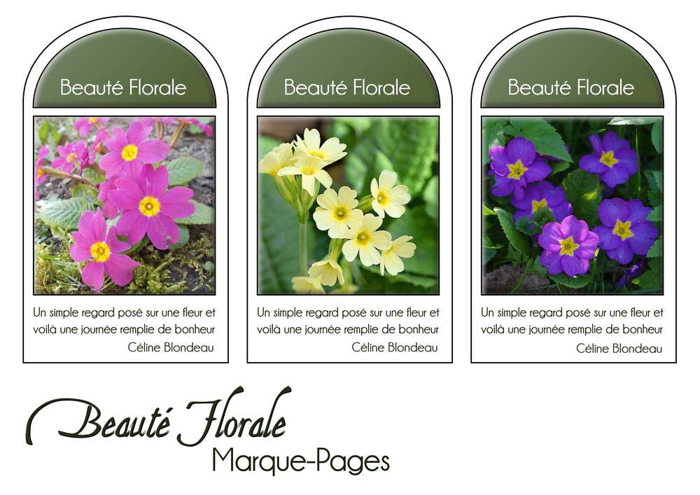 22-MARQUE-PAGES - BEAUTE FLORALE
