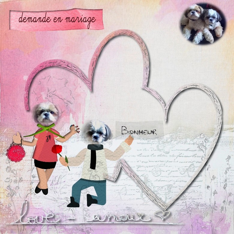 22 octobre chien  demande en mariage.jpg
