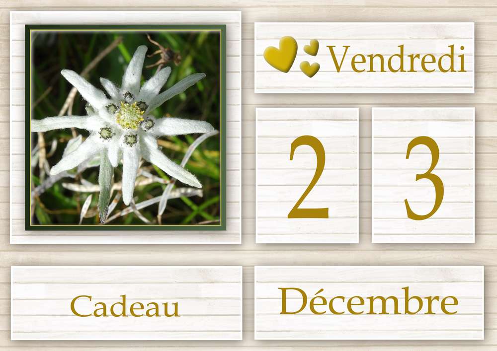 23-CALENDRIER DE L'AVENT - 23 DECEMBRE