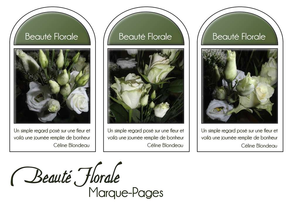 23-MARQUE-PAGES - BEAUTE FLORALE