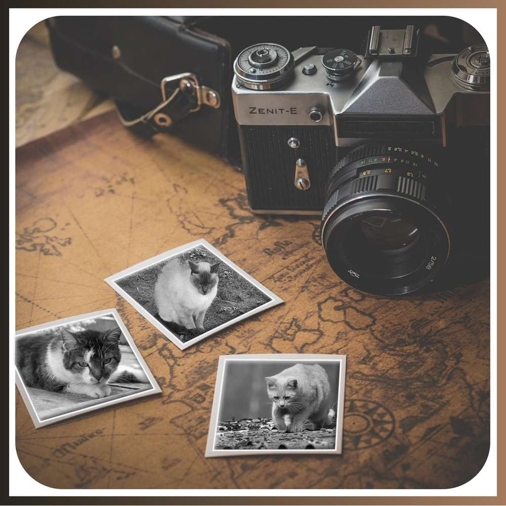 23-VINTAGE - LE SCRAPTOBER : CHALLENGE DU MOIS D'OCTOBRE