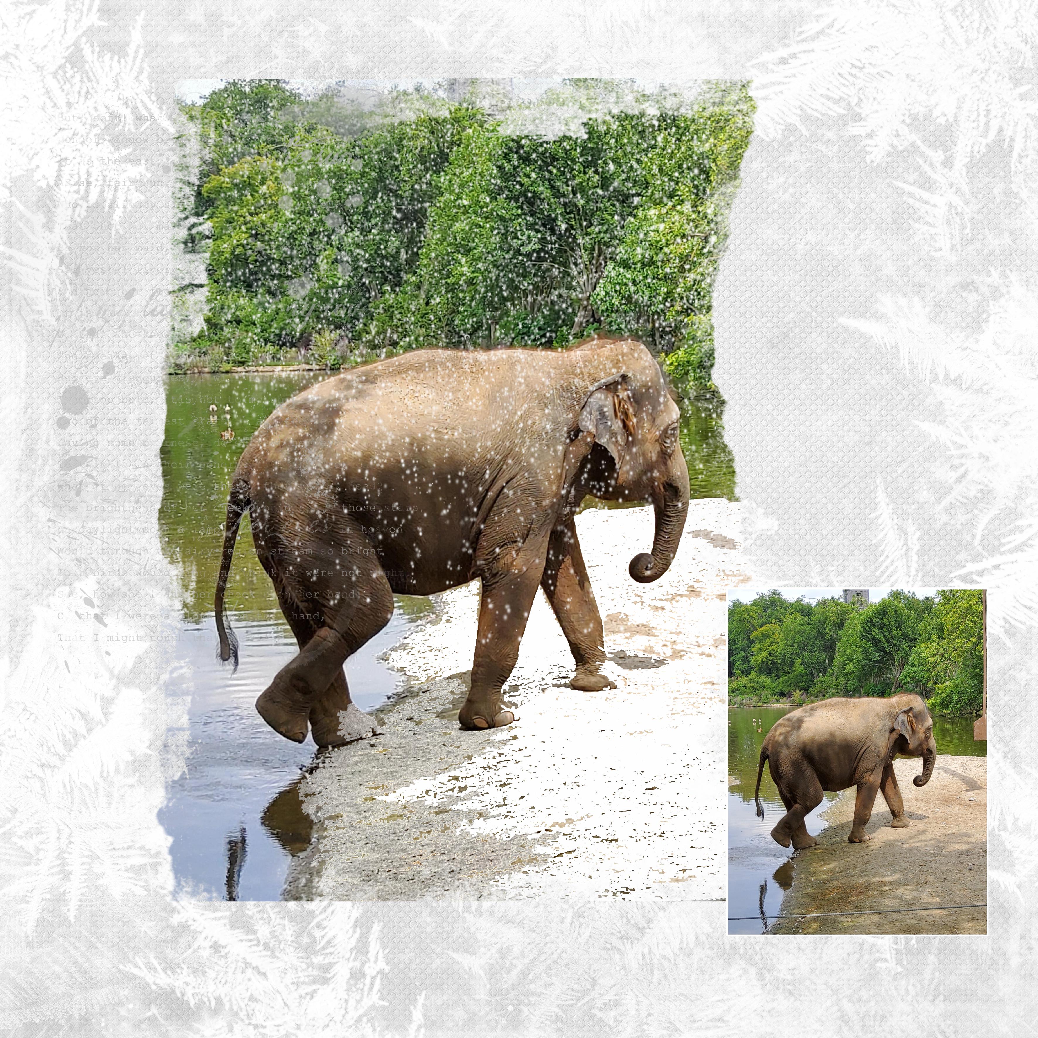 24 10 2022 Neige (page 2).jpg