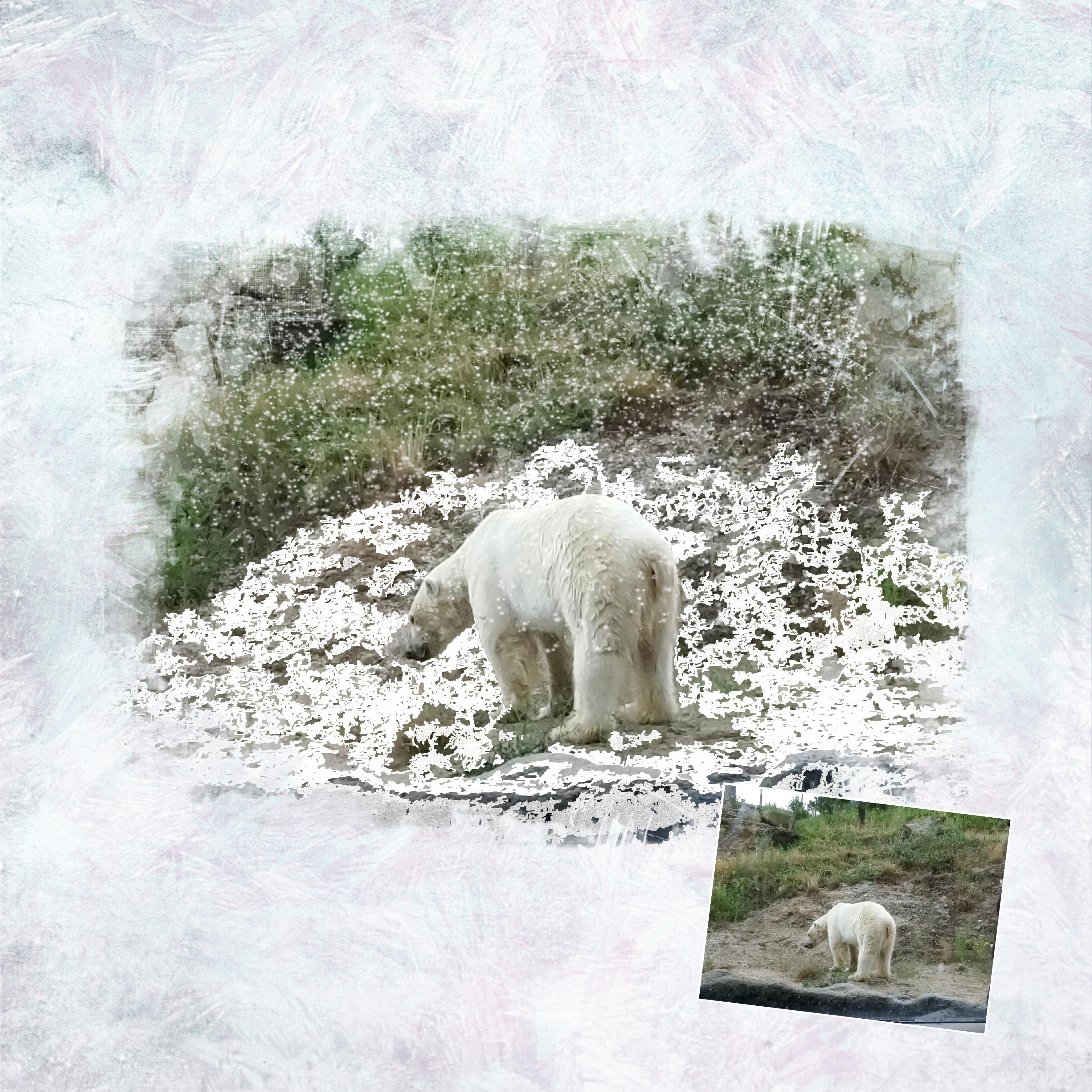 24 10 2022 Neige (page 4).jpg