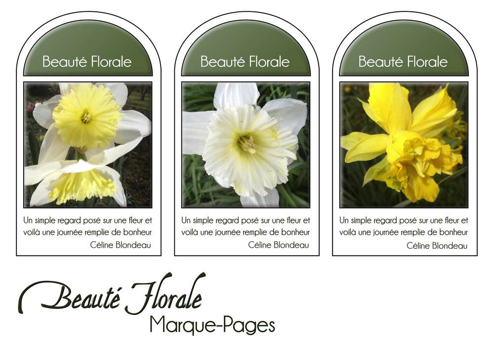 24-MARQUE-PAGES - BEAUTE FLORALE