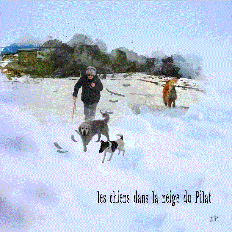 24 NEIGE gif.gif Forum Le monde du Scrap