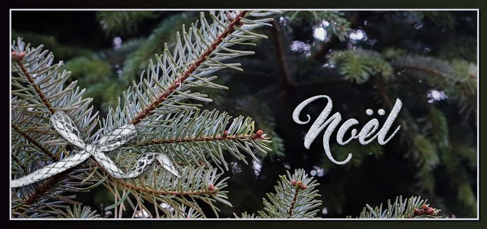 246-MERCI INFINIMENT POUR VOS BONS SOUHAITS DE NOEL