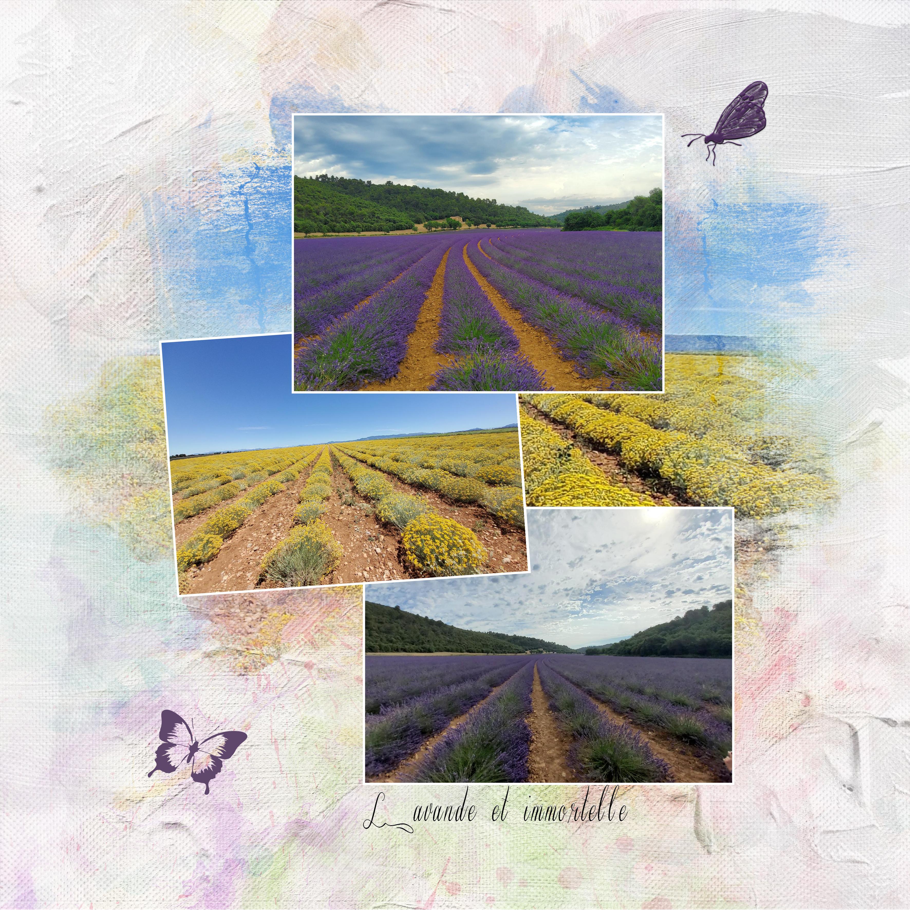 25 10 2022 Rayures.jpg