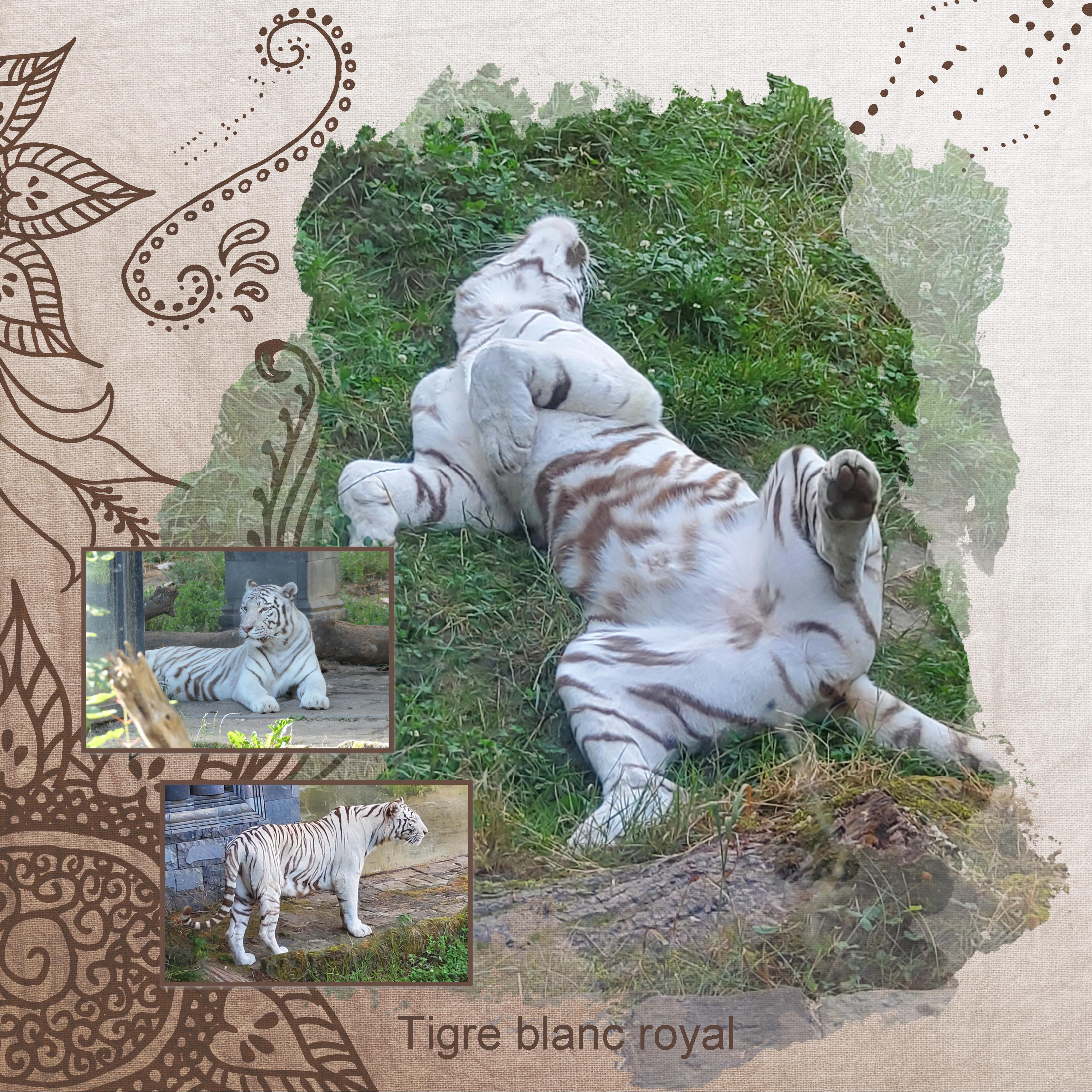 25 10 2022 rayures (page 1).jpg