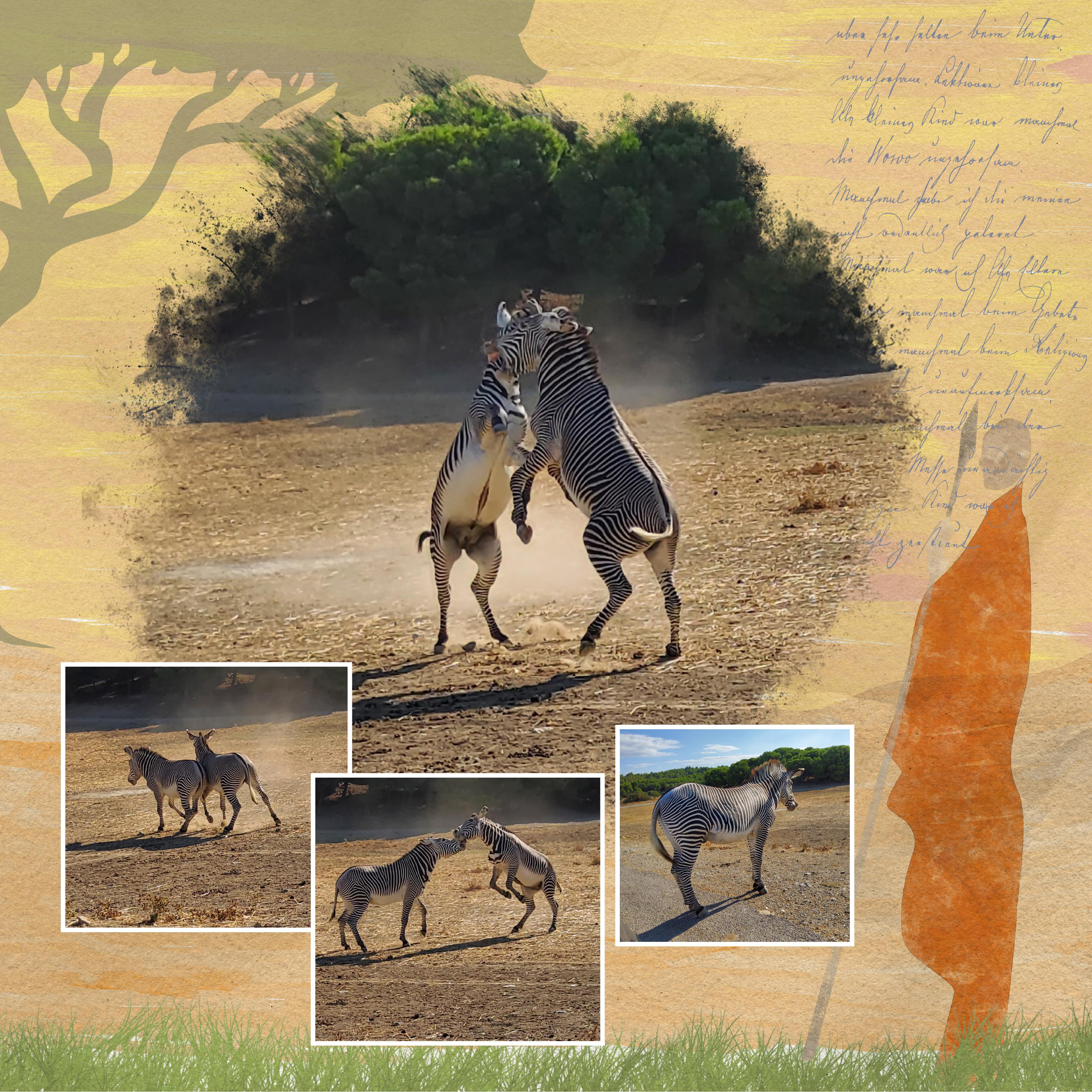 25 10 2022 rayures (page 2).jpg