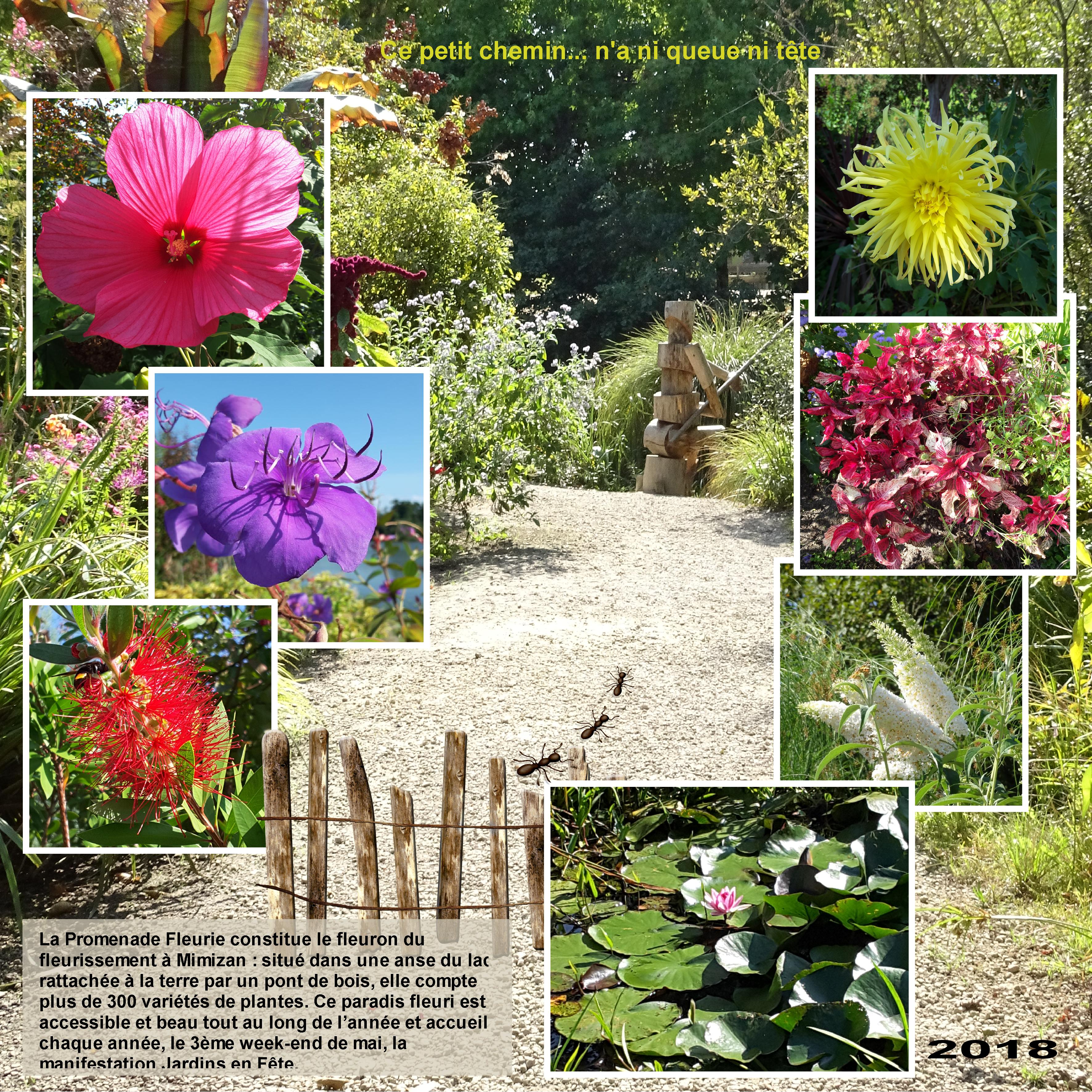 25 10 21 Chemin (page 2).jpg