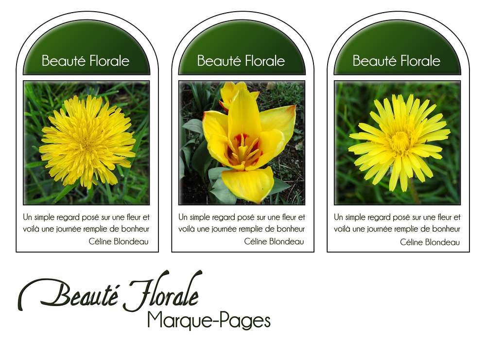 25-MARQUE-PAGES - BEAUTE FLORALE