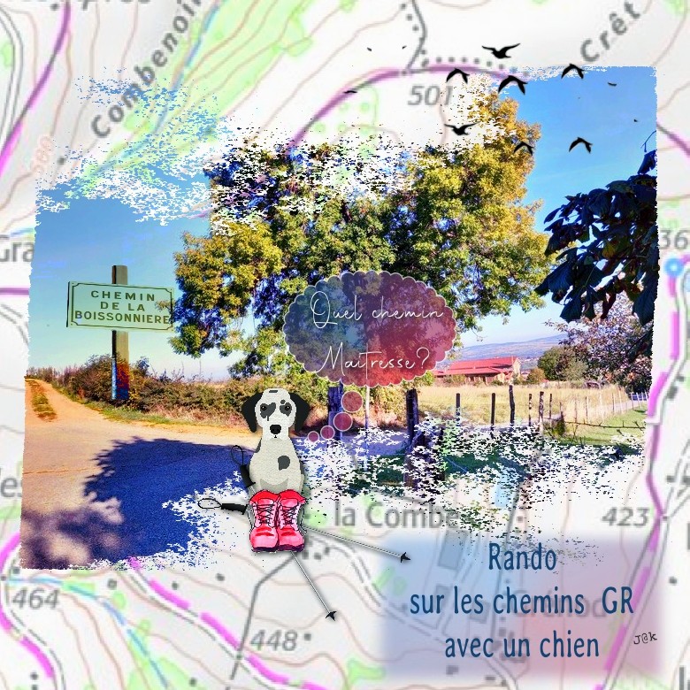 25 octobre CHEMIN sur les Gr avec un chien .jpg
