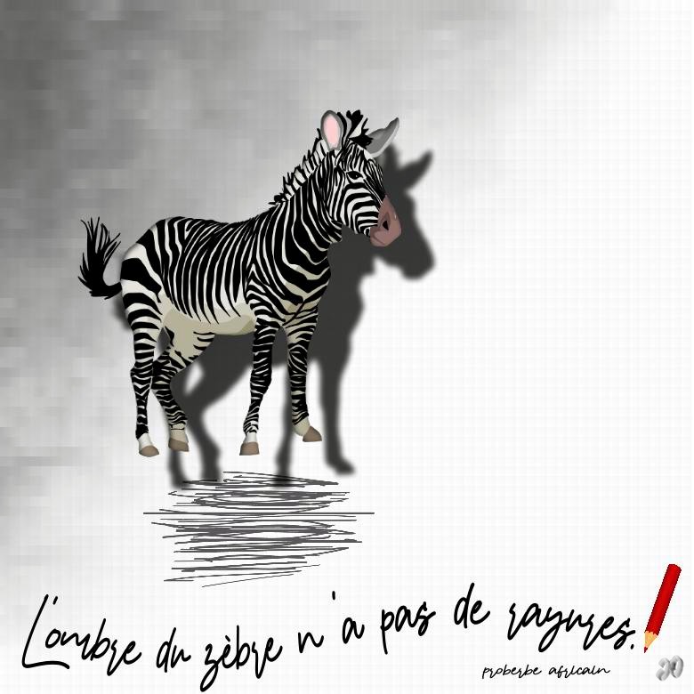 25 octobre rayures L ombre.jpg