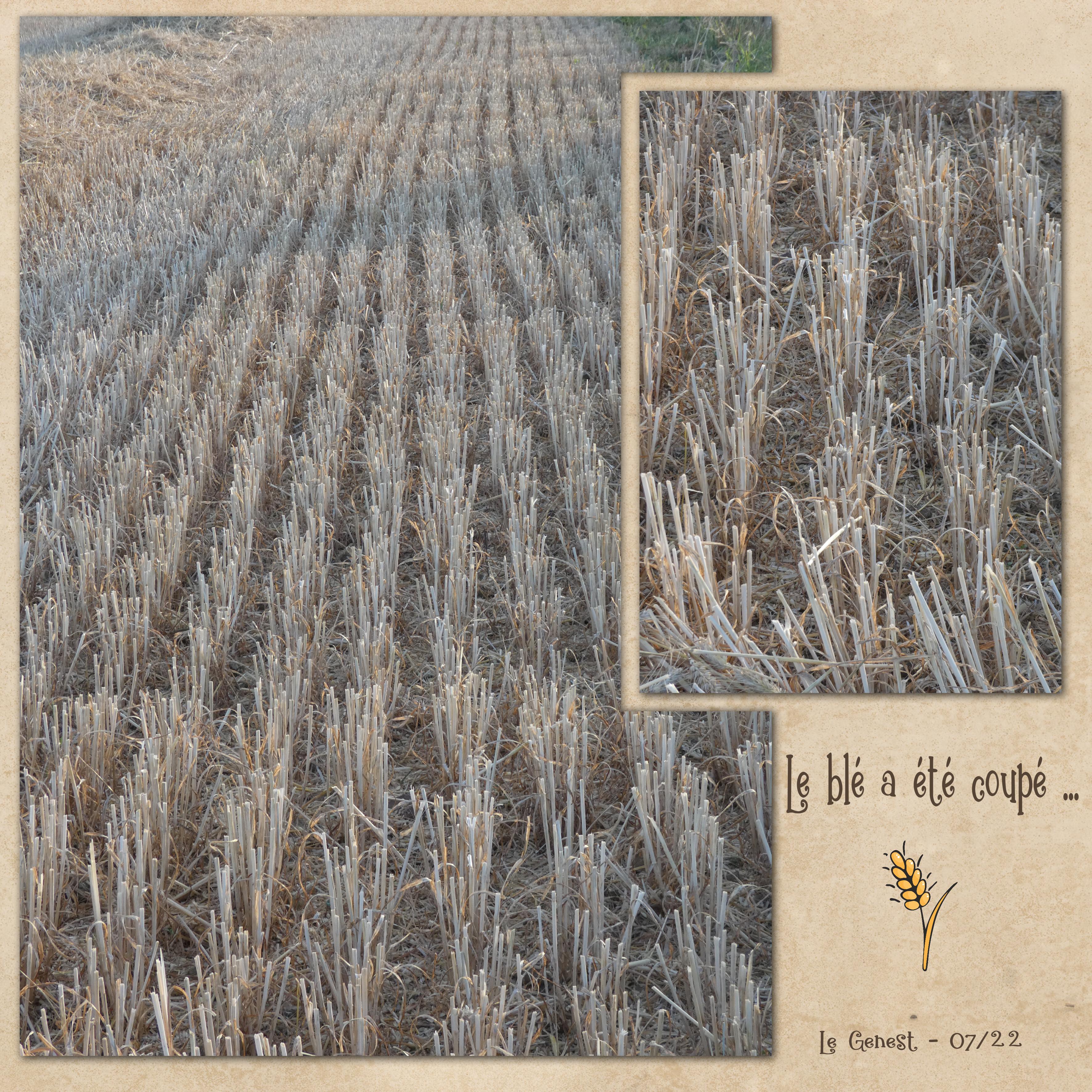 25- Scraptober - Rayures.jpg