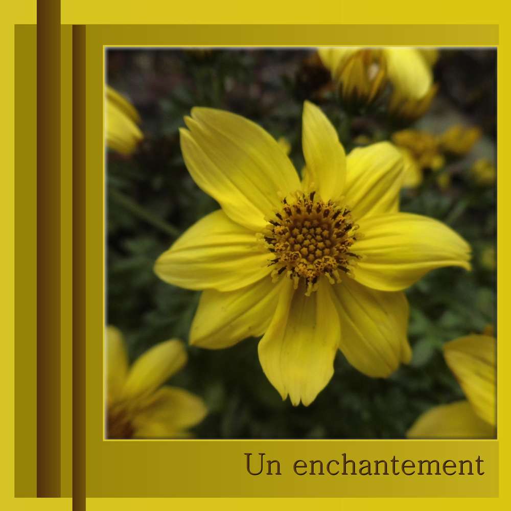 252-UN ENCHANTEMENT
